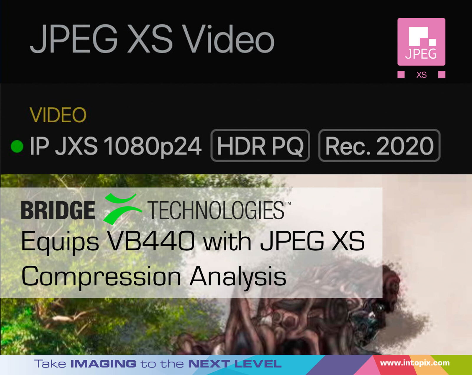 Bridge Technologies équipe le VB440 de l'analyse de compression JPEG XS 